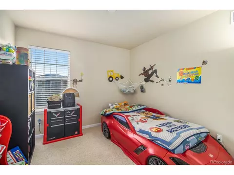 3523 E 141st Pl, Thornton, CO 80602 photo 16