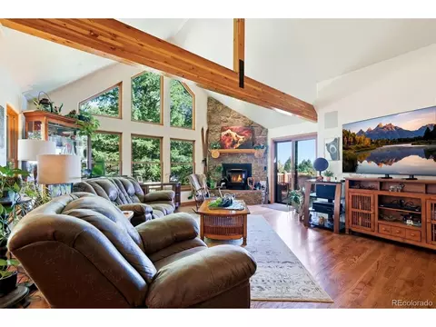 Living - 11016 Timothys Dr, Conifer, CO 80433 photo 3 of 6