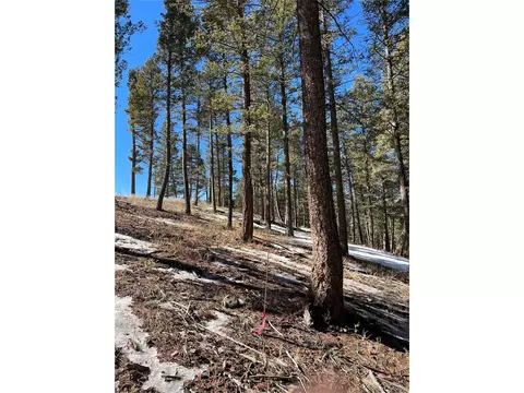 7871 Gold Rush, Morrison, CO 80465 photo 3