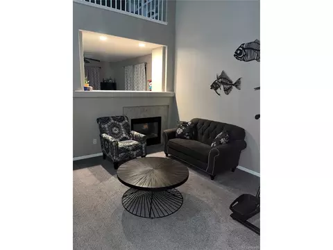 2487 E 127th Ct, Thornton, CO 80241 photo 23
