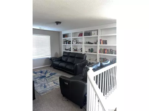 2487 E 127th Ct, Thornton, CO 80241 photo 17