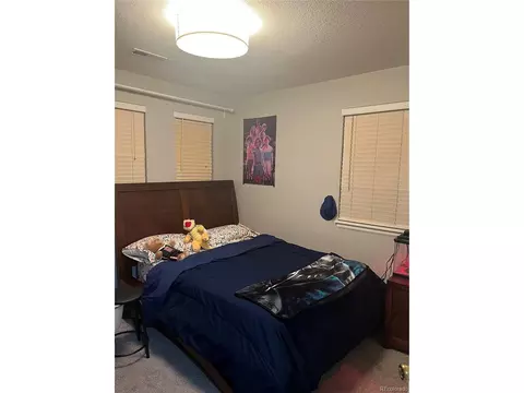 2487 E 127th Ct, Thornton, CO 80241 photo 8