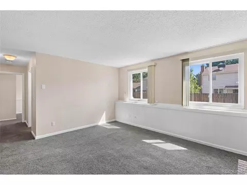 4804 S Braun St, Morrison, CO 80465 photo 25