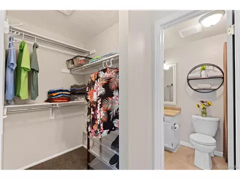 4804 S Braun St, Morrison, CO 80465 photo 16