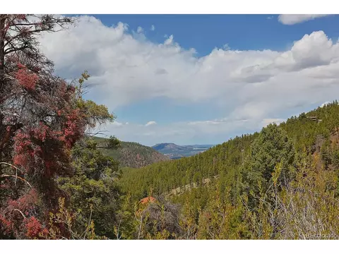 13499 S Firedog Way, Larkspur, CO 80118