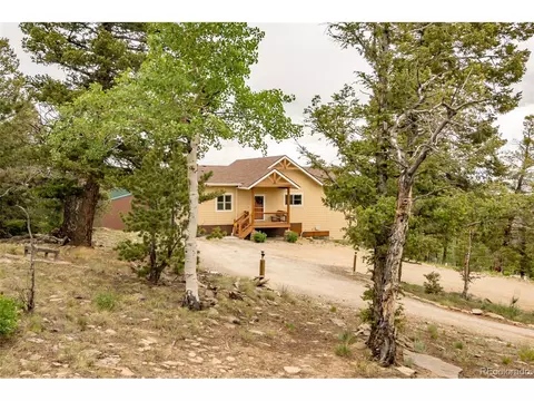 3900 Singletree Rd, Hartsel, CO 80449 photo 5