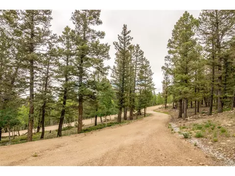 3900 Singletree Rd, Hartsel, CO 80449 photo 6