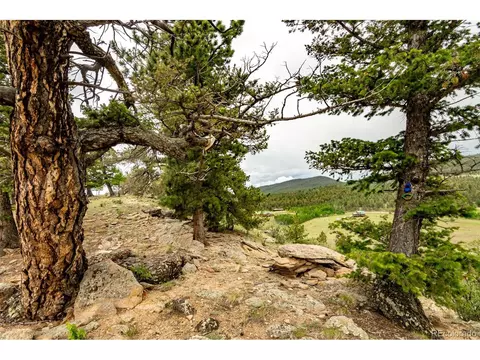 3900 Singletree Rd, Hartsel, CO 80449 photo 45