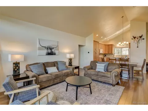 3900 Singletree Rd, Hartsel, CO 80449 photo 21