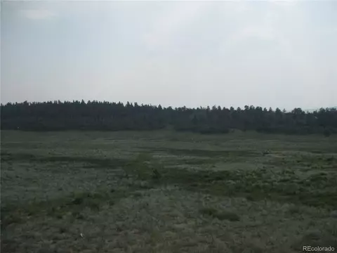 12881 Elkhorn Rd, Como, CO 80432 photo 7