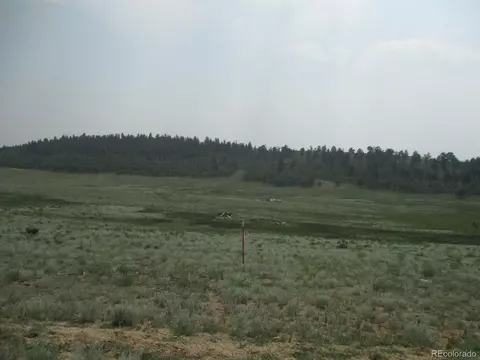 12881 Elkhorn Rd, Como, CO 80432 photo 10