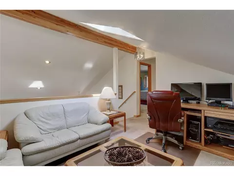 10359 Christopher Dr, Conifer, CO 80433 photo 24