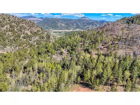56 Fir Ln, Florissant, CO 80816