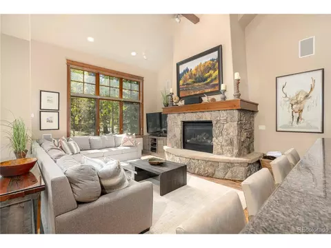71 Cucumber Patch Placer Rd #7, Breckenridge, CO 80424
