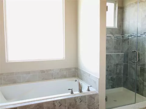 839 Corn Stalk Dr, Windsor, CO 80550 photo 17