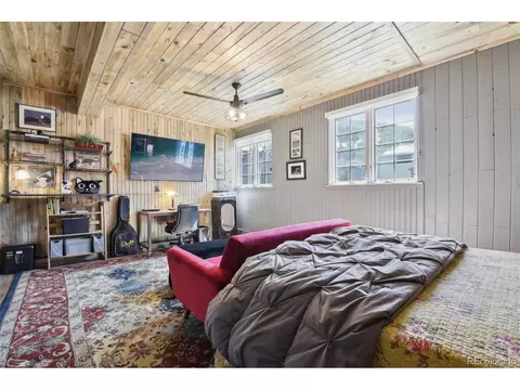 916 Griffith St, Georgetown, CO 80444 photo 22