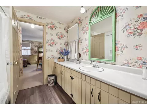 916 Griffith St, Georgetown, CO 80444 photo 28