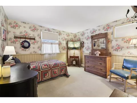 916 Griffith St, Georgetown, CO 80444 photo 30