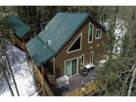 176 Cheyenne Rd, Alma, CO 80420
