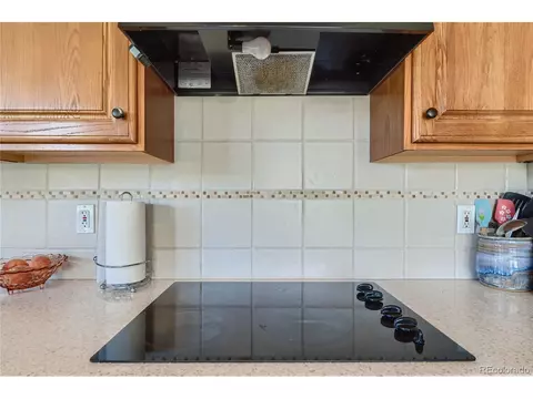1310 Bowstring Rd, Monument, CO 80132 photo 12