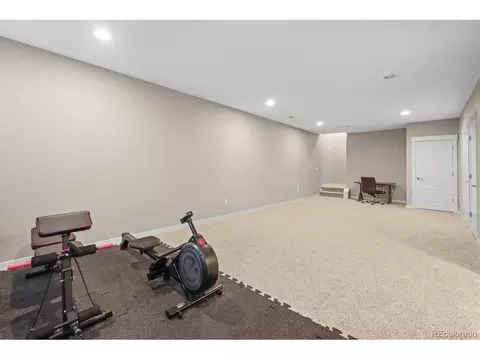 7903 E 50th Dr, Denver, CO 80238 photo 30