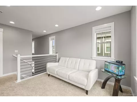 7903 E 50th Dr, Denver, CO 80238 photo 24