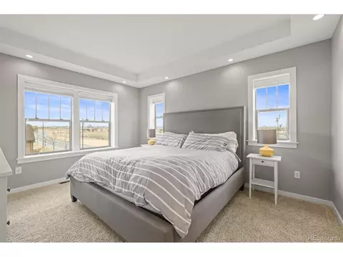7903 E 50th Dr, Denver, CO 80238 photo 19