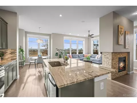 7903 E 50th Dr, Denver, CO 80238 photo 10