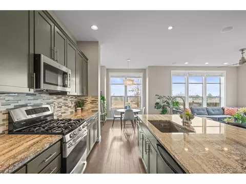 7903 E 50th Dr, Denver, CO 80238 photo 12