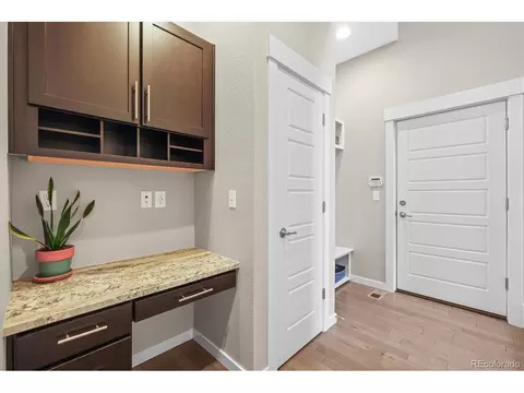 7903 E 50th Dr, Denver, CO 80238 photo 17