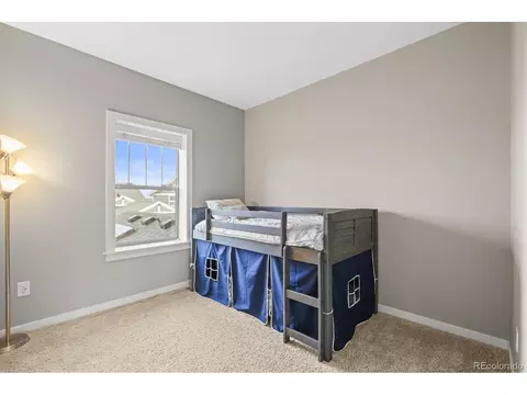 7903 E 50th Dr, Denver, CO 80238 photo 22