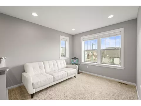 7903 E 50th Dr, Denver, CO 80238 photo 23