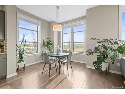 7903 E 50th Dr, Denver, CO 80238 photo 7