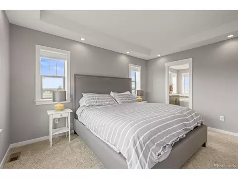 7903 E 50th Dr, Denver, CO 80238 photo 18