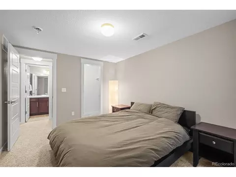 7903 E 50th Dr, Denver, CO 80238 photo 32