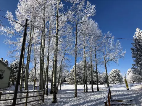 Exterior - 220 Burland Dr, Bailey, CO 80421 photo 1 of 5