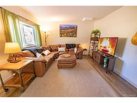 Living - 220 Burland Dr, Bailey, CO 80421 photo 1 of 1
