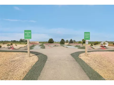 5672 Trailway Ave, Firestone, CO 80504 photo 37