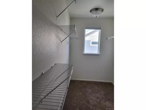 214 Castle Dr, Severance, CO 80550 photo 11