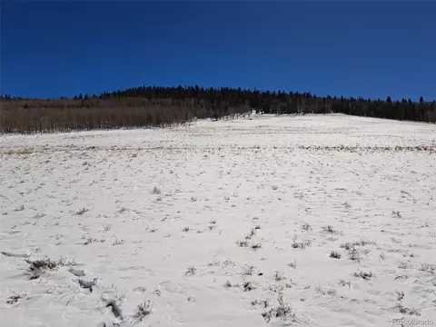 0 Jicarilla Trl, Hartsel, CO 80449