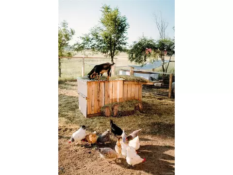 6095 W Condor Rd, Peyton, CO 80831 photo 36