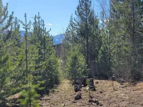 1193 Gcr 49, Grand Lake, CO 80447