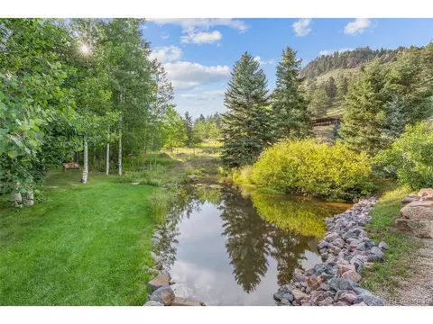 208 Brookside Dr, Bailey, CO 80421 photo 11