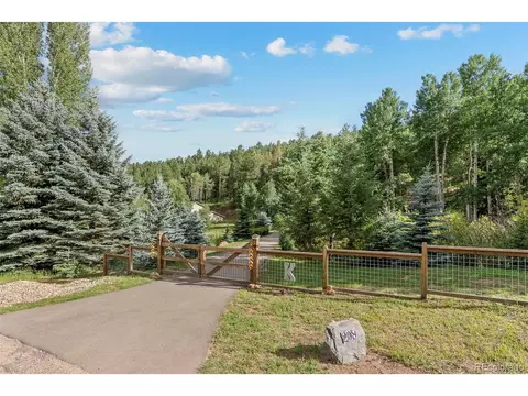 208 Brookside Dr, Bailey, CO 80421 photo 9