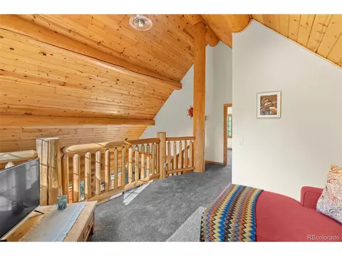 208 Brookside Dr, Bailey, CO 80421 photo 36