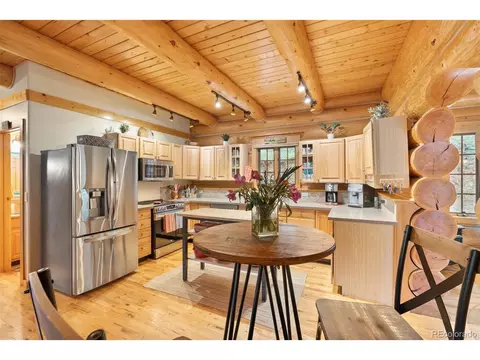208 Brookside Dr, Bailey, CO 80421 photo 29
