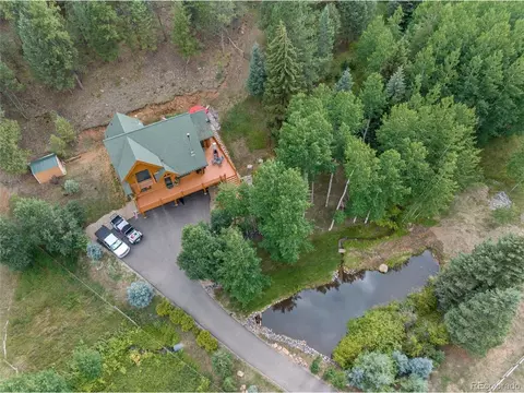 208 Brookside Dr, Bailey, CO 80421 photo 48