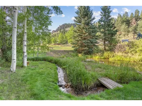 208 Brookside Dr, Bailey, CO 80421 photo 47