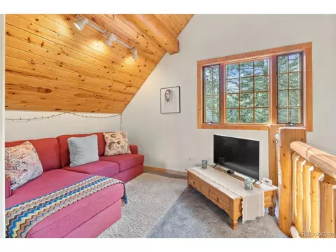 208 Brookside Dr, Bailey, CO 80421 photo 37