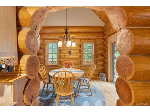 208 Brookside Dr, Bailey, CO 80421 photo 25